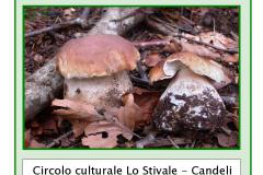 Associazione Firenzeintralice: corso propedeutico alla raccolta ed al consumo di funghi