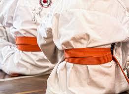Corsi di Karate e Karaterzetà con l'Asd Tzubame